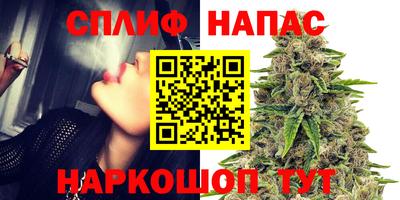 ПСИЛОЦИБИНОВЫЕ ГРИБЫ Новокубанск