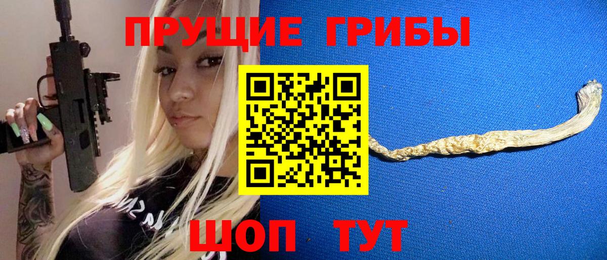 Псилоцибиновые грибы Psilocybe Артём