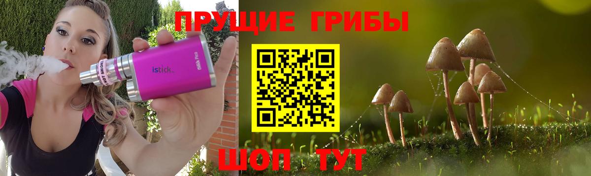 Артём  Псилоцибиновые грибы Cubensis  Вход с VPN 